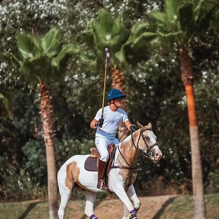 Michieli * Marbella